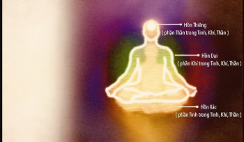 Khám phá phần âm, hiện tượng hồn phách